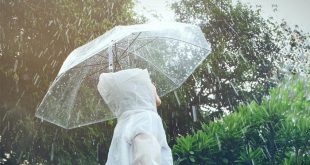 25 Tips Menjaga Kesehatan di Musim Hujan